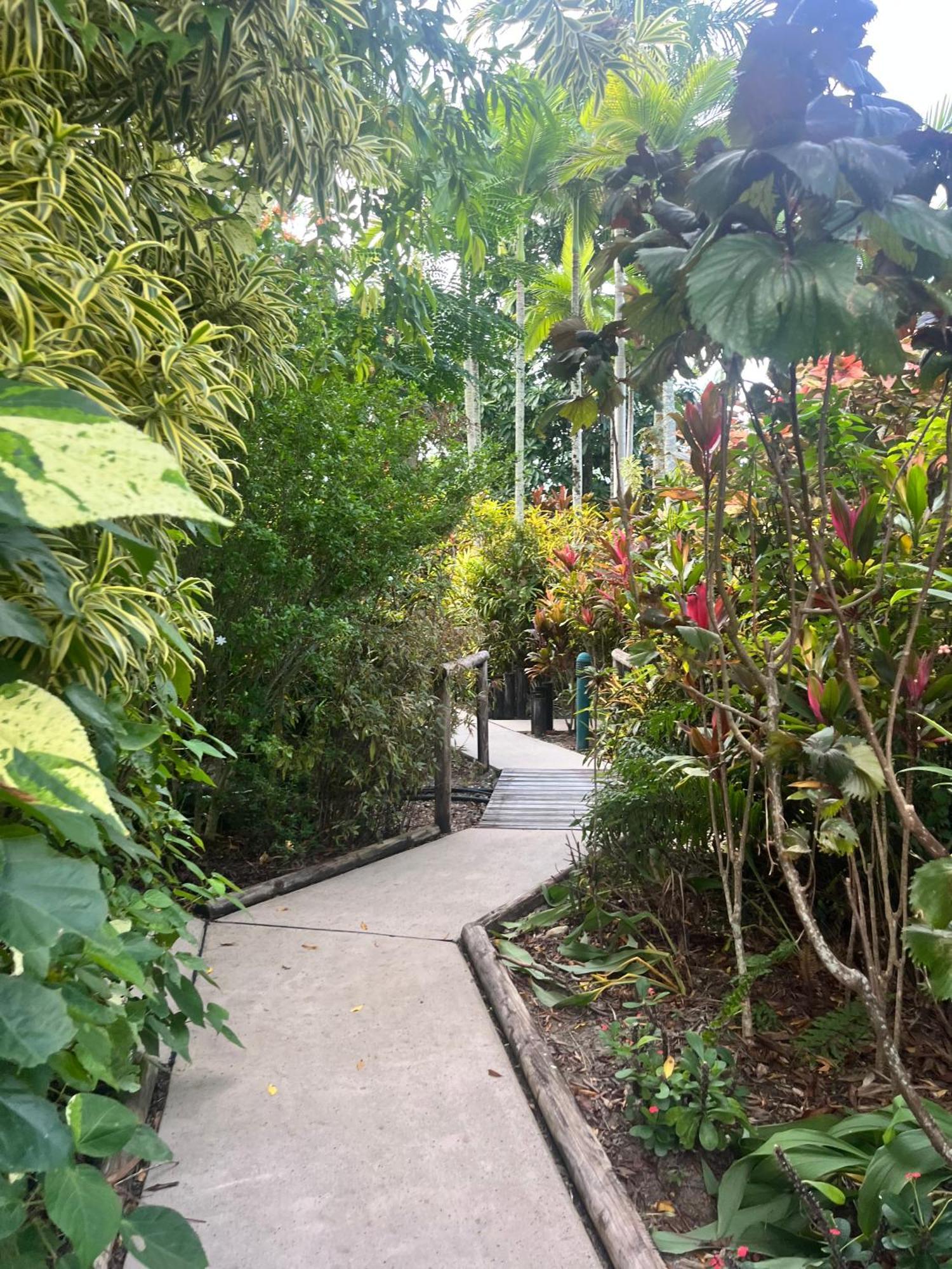The Villas Palm Cove Extérieur photo